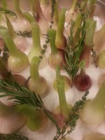 /album/fotogalerij/a20130710-083803-jpg1/