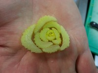 /album/fotogalerij/a20130320-073500-jpg2/